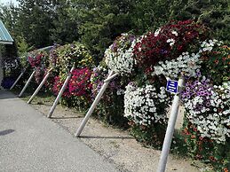 Sunset Motel at Armand's Gardens