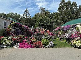 Sunset Motel at Armand's Gardens
