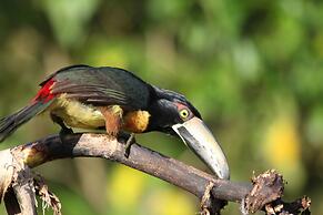 The Green Valley Inn