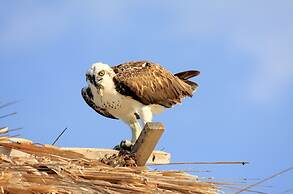 The Green Valley Inn