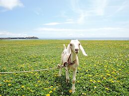 Beach Resort Morimar