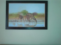 Overflow Guest House