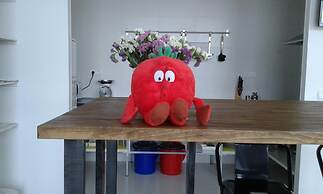 Check in Leon - Hostel