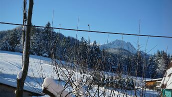 MSC Apartments Honeymoon