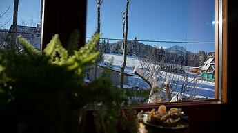 MSC Apartments Honeymoon