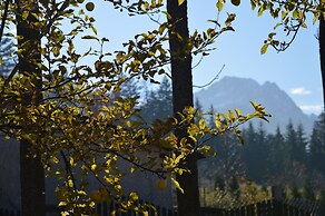 MSC Apartments Honeymoon