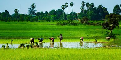 Metta Residence & Spa