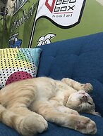 Bedbox Guesthouse & Hostel