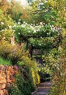 La Traversina - Agriturismo di Charme