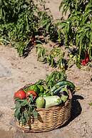 Aqua Breeze Villas Naxos