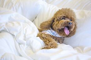 Esplendor by Wyndham Asunción