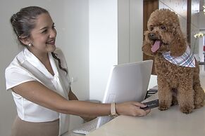 Esplendor by Wyndham Asunción