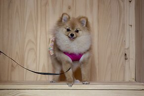 Esplendor by Wyndham Asunción