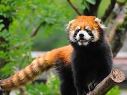 Astil Hotel Shin-Osaka Precious