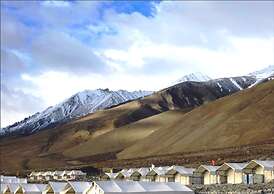 Royal Camp - Pangong