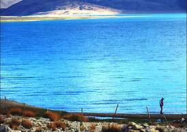 Royal Camp - Pangong