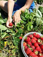 GreenHouse Inn by the Bay