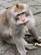 Angel House Ubud Eco Villa