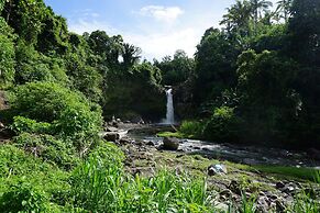Angel House Ubud Eco Villa