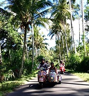 Angel House Ubud Eco Villa