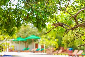 Oak Ray Elephant Lake