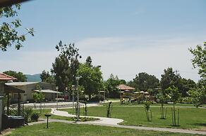 Ein Zivan Tourism