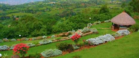 Kerio View