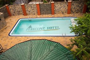 Pinecone Hotel