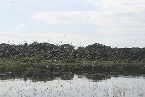 Victoria Forest Resort