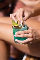 The Island Gold Coast