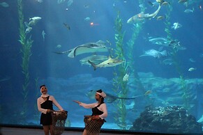 Co'op City Hotel Seongsan