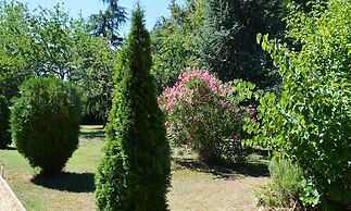 Les Plantous de Severo