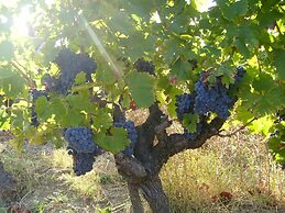 Domaine le Clos du Pavillon