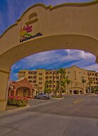Las Mananitas LM D214 1 Bedroom Condo By Seaside Los Cabos