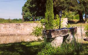 Domaine Des Ormeaux