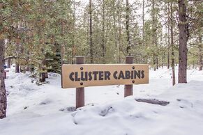 Cluster Cabin 12