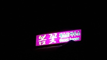 Springflower Guesthouse - Hostel