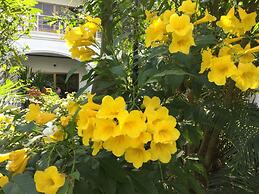 White Elephant Resort