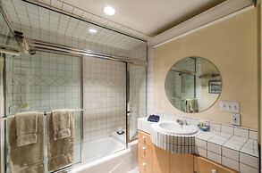 Muscatel Flats 20 1 Bedroom Condo By Accommodations in Telluride