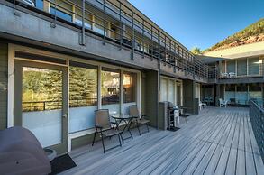 Muscatel Flats 20 1 Bedroom Condo By Accommodations in Telluride