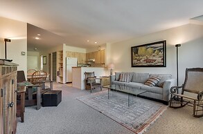 Muscatel Flats 20 1 Bedroom Condo By Accommodations in Telluride