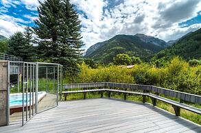 Muscatel Flats 4 1 Bedroom Condo By Accommodations in Telluride