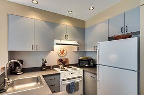 Muscatel Flats 4 1 Bedroom Condo By Accommodations in Telluride