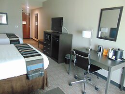 Wingate by Wyndham Lubbock near Texas Tech Univ. Medical Ctr