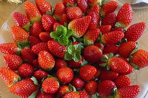 Agroturisme Son Vives - Adults Only