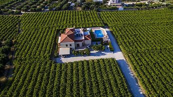 Cretan Vineyard Hill Villa Private Pool, Panoramic View, Beautiful Vin