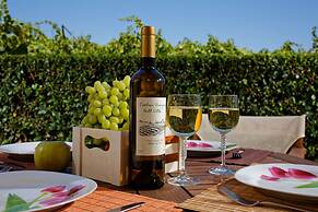 Cretan Vineyard Hill Villa Private Pool, Panoramic View, Beautiful Vin