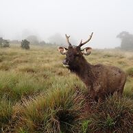 Southern View Holiday Resort