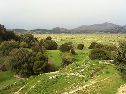 Dionysus Lasithi Plateau