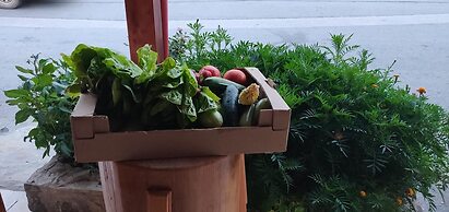 Dionysus Lasithi Plateau